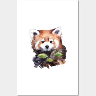 Watercolor red panda painting Posters and Art